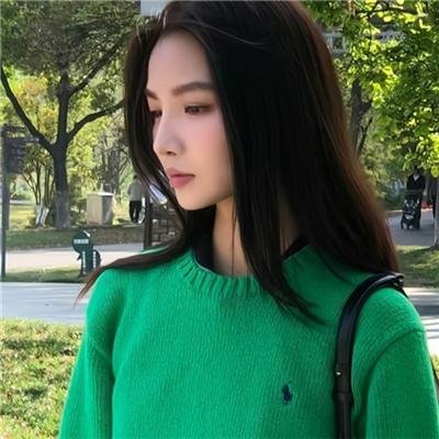绿头苍蝇 封面